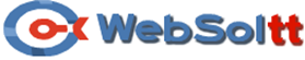 Websoltt Logo